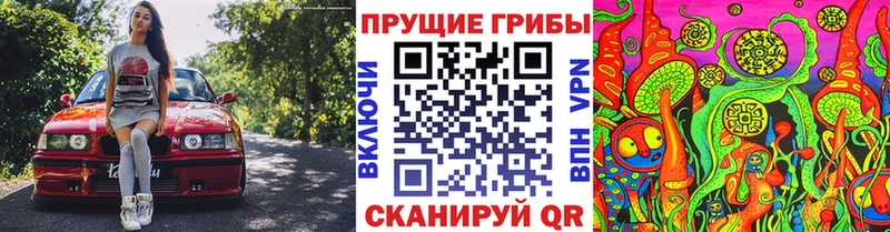ОМГ ОМГ вход Кимовск Псилоцибиновые грибы мухоморы