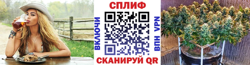 купить   ссылка на мегу сайт  Бошки Шишки Ganja  Кимовск 